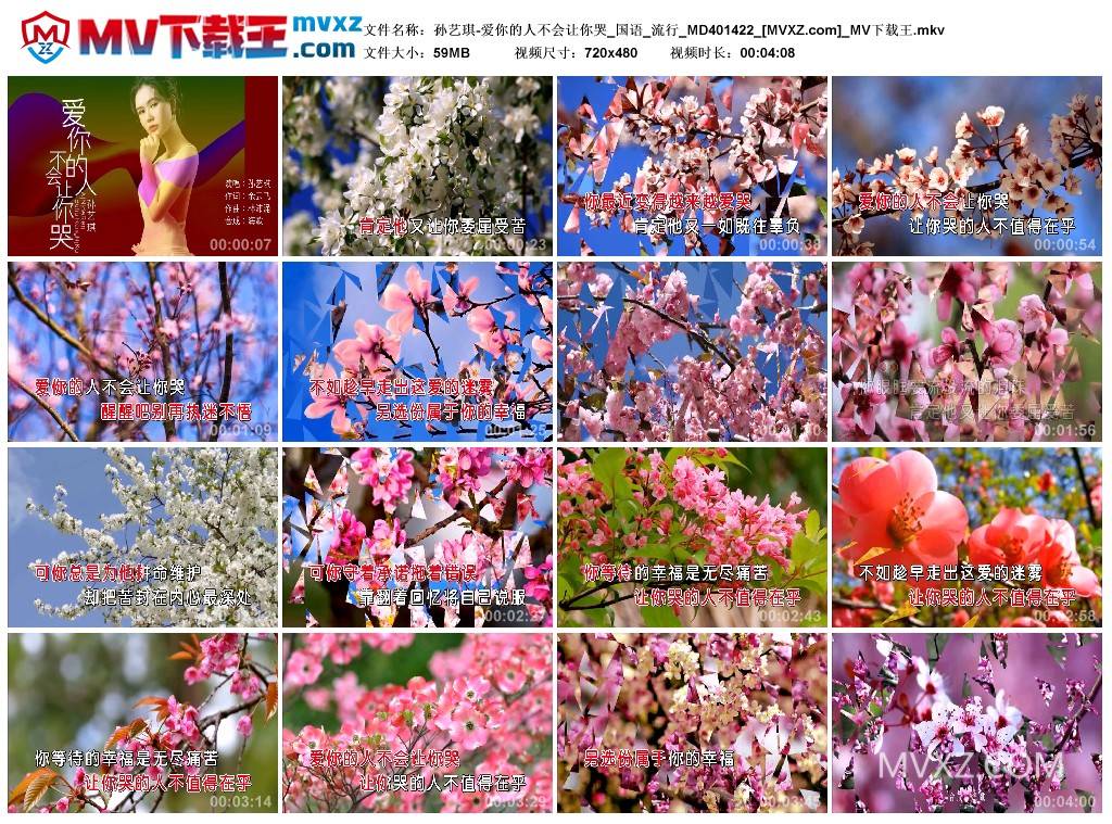 孙艺琪-爱你的人不会让你哭_国语_流行_MD401422